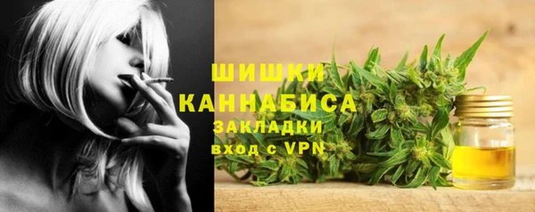 молекула духа Пестово
