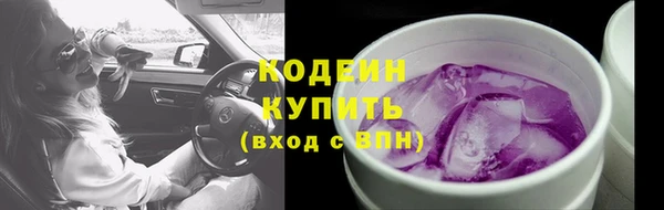 молекула духа Пестово